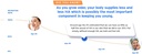 hyalogic-120-mg-hyaluronic-acid-delayed--5.jpg