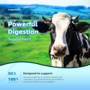bovine-colostrum-capsules-supplement-200-5.jpg