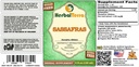organic-sassafras-sassafras-albidum-glyc-2.jpg