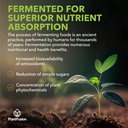 plantfusion-alkalizing-super-greens-powd-5.jpg