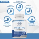 labs-natural-digestive-enzymes-probiotic-2.jpg