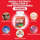 1660mg-urolithin-a-supplement---liposoma-4.jpg
