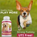 amazing-cranberry-for-dogs-pet-antioxida-4.jpg