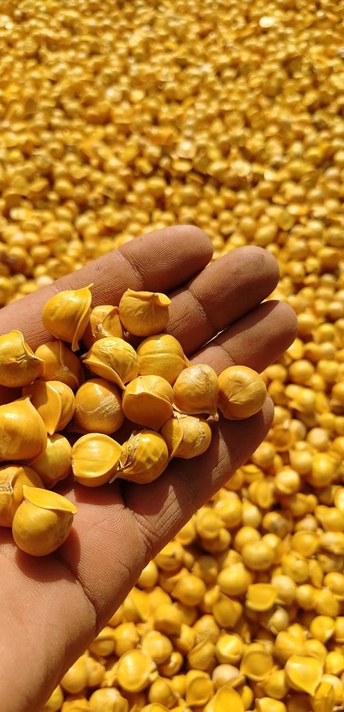japanese-garlicajo-japones-100-natural-1-3.jpg