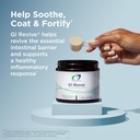 designs-for-health-3r-gut-reset-program--4.jpg