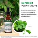 nutramedix-sealantro---body-detox-drops--5.jpg