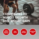 amix-carbojet-gain---496-pound---chocola-4.jpg