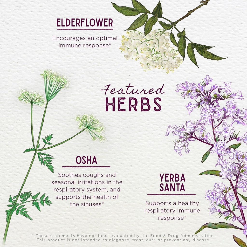 wishgarden-herbs-kick-it-immune-for-kids-4.jpg