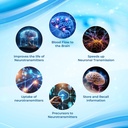 focus-fast-clear-brain-nootropic-supplem-5.jpg
