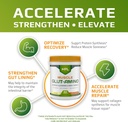 mfl-muscle-glut-amino-glutamine-complex--4.jpg