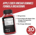 orphic-nutrition-apple-cider-vinegar-gum-4.jpg