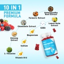 2-pack-ashwagandha-gummies-with-l-theani-2.jpg