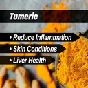 liver-thyroid-support-formula-for-horses-6.jpg