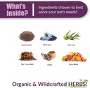 amber-naturalz-vibactra-immune-support-h-3.jpg
