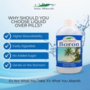 eidon-liquid-boron-drops---ionic-mineral-3.jpg