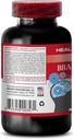 ginkgo-biloba-extract-leaf---brain-and-m-4.jpg