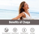 om-mushroom-superfood-chaga-organic-mush-5.jpg