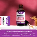 sea-moss-and-ashwagandha-liquid-suppleme-5.jpg