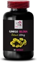herbal-extract-benefits---ginkgo-biloba--2.jpg