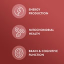 dr-mercola-carnitine-complex-30-servings-3.jpg