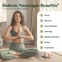 alpha-focus-nootropic---memory-and-focus-2.jpg