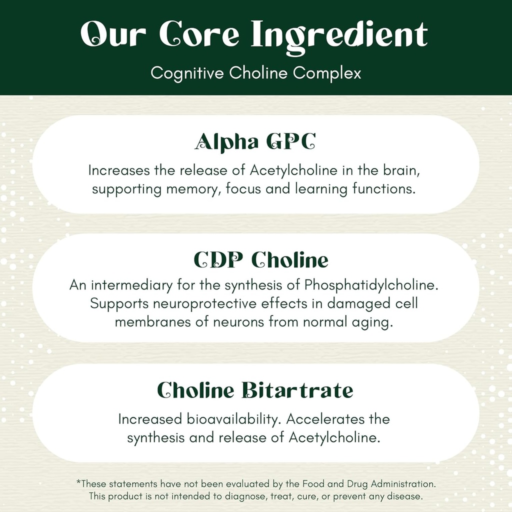 alpha-focus-nootropic---memory-and-focus-5.jpg