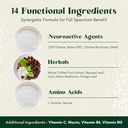 alpha-focus-nootropic---memory-and-focus-6.jpg