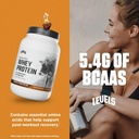 levels-grass-fed-whey-protein-powder-no--5.jpg