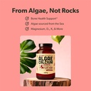 algae-calcium-vegan-omega-3-vitamin-b-co-3.jpg