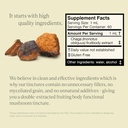 chaga-mushroom-extract---double-extracte-4.jpg