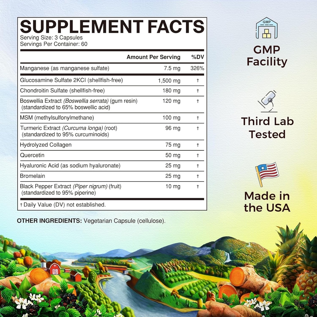 vitalitown-glucosamine-chondroitin-msm-t-2.jpg