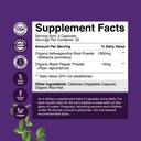 bundle-of-pure-sam-e-nootropic-brain-sup-3.jpg