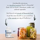 organixx-probiotixx-probiotic-supplement-6.jpg
