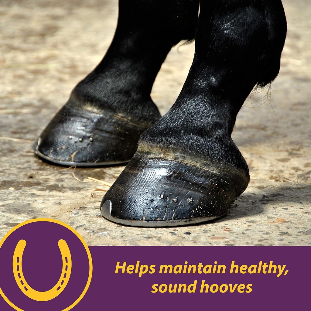 horse-health-vita-biotin-crumbles-horse--2.jpg