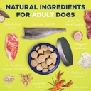 vetericyn-all-in-1-multifunctional-dog-s-3.jpg