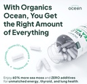 wild-sea-moss-capsules---100-organic-iri-3.jpg