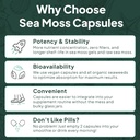 wild-sea-moss-capsules---100-organic-iri-6.jpg