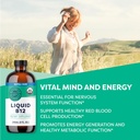 vimergy-liquid-b12-refill-fast-absorbing-3.jpg