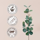 muira-puama-and-catuaba-alcohol-free-nat-4.jpg