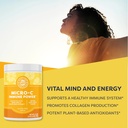vimergy-micro-c-immune-power-tm---500g-2-2.jpg