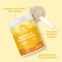 vimergy-micro-c-immune-power-tm---500g-2-3.jpg
