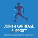 21st-century-arthri-flex-advantage-plus--3.jpg