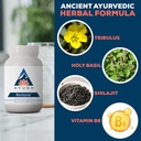 ayush-herbs-rentone---kidney-support-sup-4.jpg