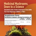 mushroom-science-cordyceps-cs-4-capsules-2.jpg