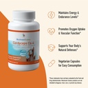 mushroom-science-cordyceps-cs-4-capsules-3.jpg