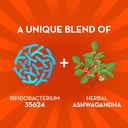 align-probiotic-digestive-de-stress-prob-2.jpg