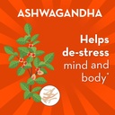 align-probiotic-digestive-de-stress-prob-4.jpg