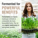 solaray-fermented-chaga-mushroom-1000-mg-4.jpg