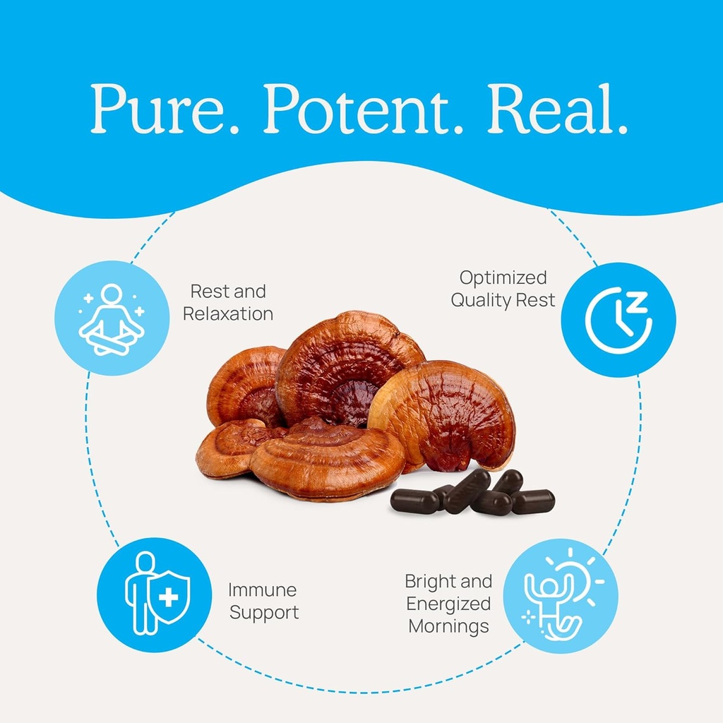 real-mushrooms-realrest-capsules-organic-4.jpg