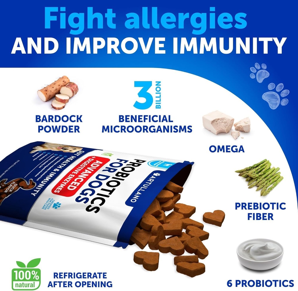 probiotics-for-dogs---support-gut-health-3.jpg